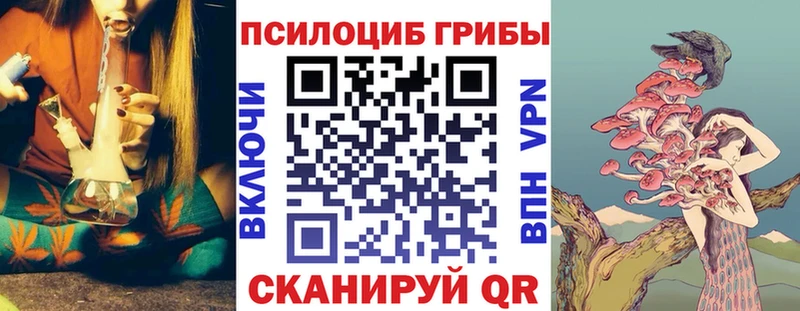 shop состав  Лихославль  Псилоцибиновые грибы Magic Shrooms 